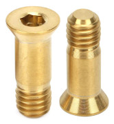 2 PCS Titanium M5x14 2mm Mountain Bike Rear Derailleur Mounting Screw Gold