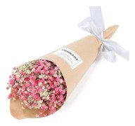 Naturlig Torkad Blomsterbukett Gypsophila Torkad Blomsterbukett Blomsterarrangemang Heminredning