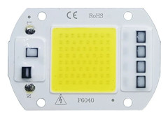 COB LED-lampchip AC 220V LED-lampa 10W 20W 30W 50W IP65 High Power Smart IC DIY Flood-lampa Glödlampa Spotlight Outdoor Chip Lamp