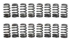 16 st Drop In bikupa ventilfjäder PAC 1218 Engine Ovate Spring Kit för alla LS-motorer