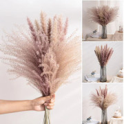 Torkade blombukett Naturliga torkade blommor Bukett Vass Flores Pampas Vete Öron Setaria För hemkontorsdekoration D