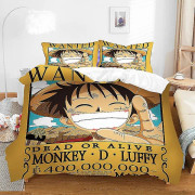 Ett stycke Luffy Sanded tredelat cover Q