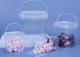 280ML/500ML/1L/2L plasthink med lock och handtag Storge Co 280ml