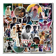 50/100X Saltburn Film Stickers Citat Symboler Oliver Quick Felix Catton Graffiti 50pcs Saltburn A