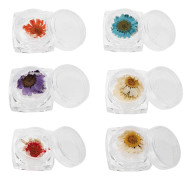 6 färger nagel naturliga torkade blommor dekor manikyr blommig klistermärke nagelkonst DIY-verktyg