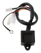 CDI Kontrollenhet Black Box Tändspole för Yamaha PW80 PW 80