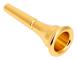 Högkvalitativt guldpläterat hornmunstycke för musikinstrument (guld)