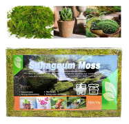 Förpackning 150g Komprimerad naturlig Sphagnum mossa Torr torvmossa Potty Grön en storlek
