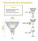 Mr16 Spot Light Bulb, 12v 20w Light Bulb, Gu5.3 Light Bulb Dimmable , 2 Pin Halogen Light Bulbs Warm White 2700k, Pack Of 12 (mr16-20w-12p) (FMY)