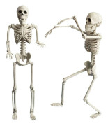 Halloween inomhus realistisk helkropp ledad hängande skelett (40 cm) 5 delar