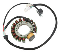 Statorspole Koppar 3HN 85510 10 00 Låg Magnetisk Förlust Set för Warrior 350 YFM350