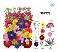 Pressad blomma Handgjorda blandade torkade blommor Material för DIY Aromaterapi Ljus Gratulationskort Epoxi Craft Örhängen 16