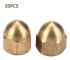 Mässing Ekollonmutter Kit M4 20 st Hex Dome Head Set