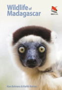 Wildlife of Madagascar