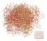 200 stjärnmåne gem guld roséguld blekningsförebyggande multifunktionsgem för kontorsbruk