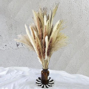 75 stycken | 20 stycken vit pampas och 20 stycken brun pampas och