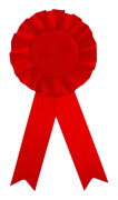 5-pack badges, tomma tennplåtsband med spets, hedersmärken, födelsedagsbadges, festdekorationer