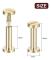 30-pack Mässing Chicago Skruvar, 15x8mm Platt Huvud Skruv Rygg Bindande Stolpe Spik Nitar Fästelement för DIY