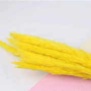 Torkade blombukett Naturliga torkade blommor Bukett Vass Flores Pampas Vete Öron Setaria För hemkontorsdekoration Yellow