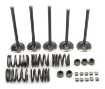 YAMAHA GRIZZLY 660 YFM660F 4WD 2002 2008 Cylinderhuvud Insug Avgasventil Kit Ersättning