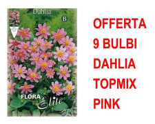 ERBJUDANDE 9 BULBLAHIA TOPMIX ROSA BULBER