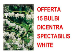 ERBJUDANDE 15 GLÖDLAMPOR DICENTRA SPECTABILIS VITA GLÖDLAMPOR Maria hjärta