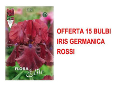 ERBJUDANDE 15 ST FIBER IRIS GERMANICA RÖDA LÖKAR