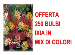 ERBJUDANDE 250 BULB IXIA MIX BULBAR