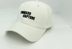Vintage keps med broderad text Justerbar basebollkeps Fo White