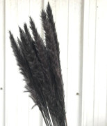 Torkade blombukett Naturliga torkade blommor Bukett Vass Flores Pampas Vete Öron Setaria För hemkontorsdekoration Black