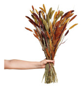 Bukett Setaria 70cm Mix