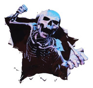 3D Skeleton Skull ildekaler ilkroppar med repor - spot försäljning