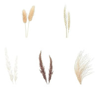 69 delar naturliga torkade pampasgräs dekorationsserie, torkade pampasblommor arrangemang bukett