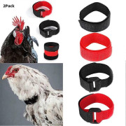 2X Tuppkyckling Tupp Hane Tyst Ingen Galande Anti Buller Band Krage Hals Fjäderfä Y5P (FMY)