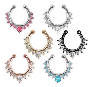 【BQ】falsk näsring falsk näsborre rostfritt stål falsk läpp septum näsring konstgjord näsring, metall, rostfritt stål