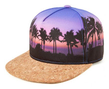 Snapback hattar för män Flat Bill Hat cap color1