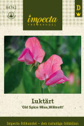 Luktärt Old Spice Miss Willmott - lathyrus odoratus Old Spice Miss Willmott