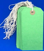 250-pack - 120 x 60 mm gröna strängade taggar White Green