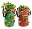 Strawberry Growing Bag, Breathable Strawberry Bag