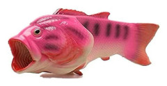 Fisktofflor Strandsandaler Halkfria Sandaler Kreativa Fisktofflor Herr och Dam Casual Sko Pink EU28*29