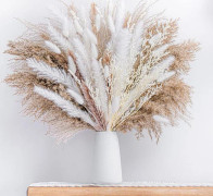 85PCS Natural Dried Pampas Grass Bouquet, Boho Home Decor Bouquet