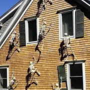 90/150cm Poserbar Mänsklig Skelett Halloween Dekoration Fest Prop (FMY) 150cm