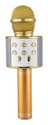 Bärbar trådlös karaokemikrofon - USB-laddning Gold