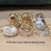 6 st Husdjur Hår Minnessak Set, Nyckelring Hänge, Stilren Katt Transparent Skal Boll Charm för Kreativ Husdjur Hår Förvaring[D]
