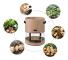 2 förpackningar med 7 gallons potatis - Grönsaker för potatis, tomat