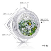 Nagelglitter Paljetter Holografiska 3D Självlysande Konfetti Nageltillbehör Lämpliga för Tjejer Nagelkonst Färdigheter DIY Hantverk Smink