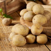 Sättpotatis Twister (Storlek: 1kg)