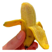 90 st bananträdsfrön Mini Bonsai Fruktfrön Hem Trädgård Växter Frön