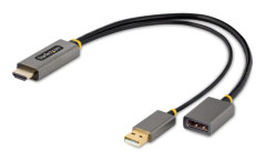 StarTech.com 128-HDMI-DISPLAYPORT videokabeladapter 0,3 m HDMI Typ A (standard) Svart, Grå