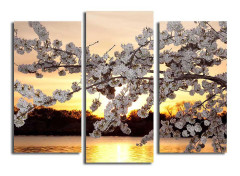 Canvastavla 3-pack Flerfärgad - 20x39 cm